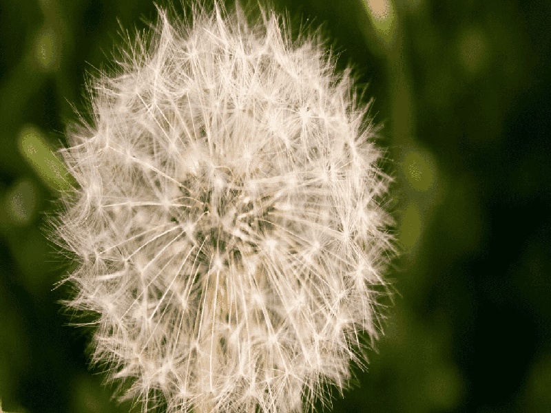 试管辅助生殖补贴（大容量试管杯）